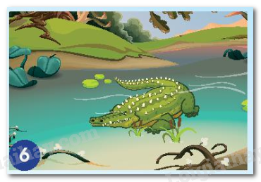 20240605090937hinh 6 bai 15 sgk tnxh ctst