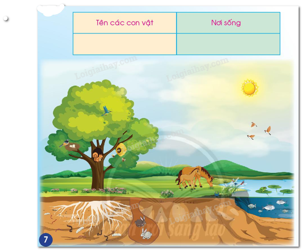 20240605090940hinh 7 bai 15 sgk tnxh ctst