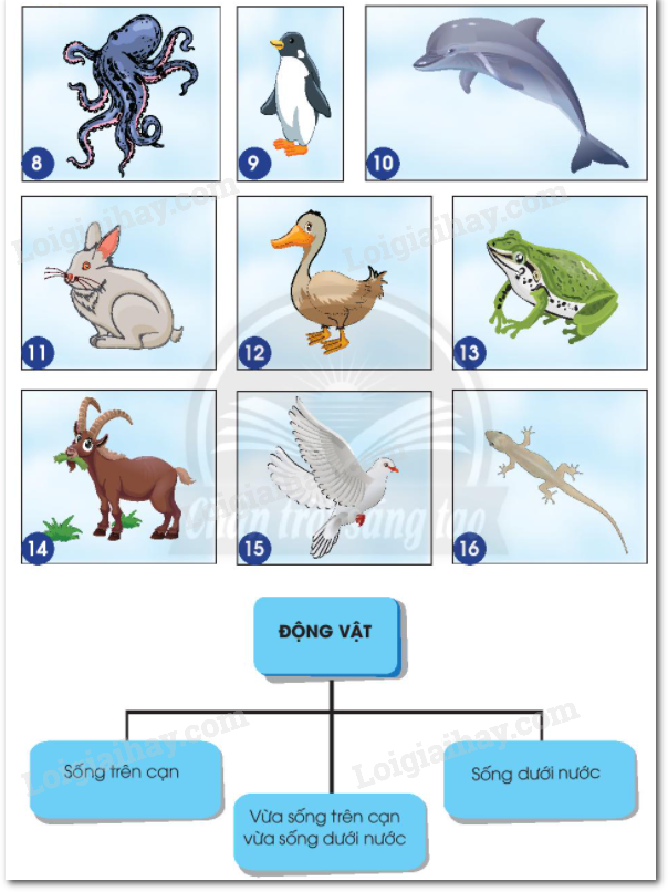 20240605090941hinh-8-16-bai-15-sgk-tnxh-ctst_1 20240605090941hinh 8 16 bai 15 sgk tnxh ctst 1