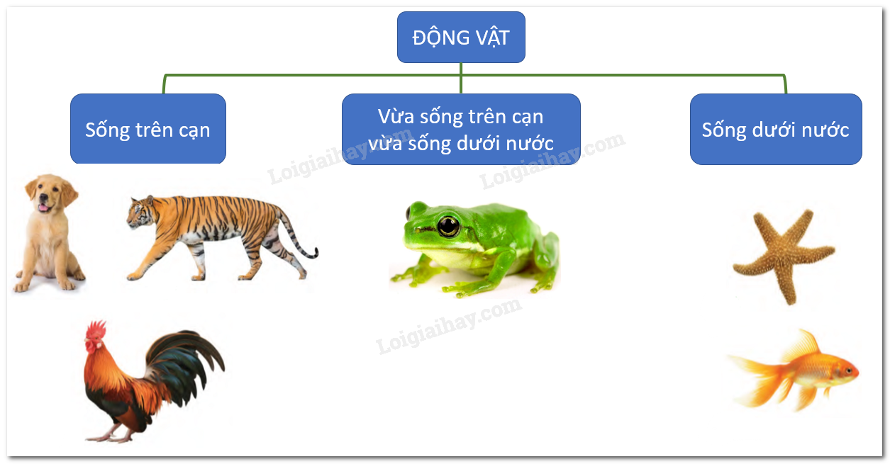 20240605090943giai2-hinh-18-bai-14-sgk-tnxh-ctst 20240605090943giai2 hinh 18 bai 14 sgk tnxh ctst