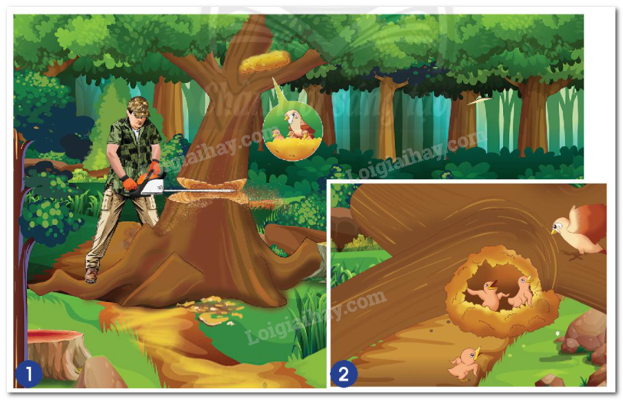 20240605090946hinh 1 bai 16 sgk tnxh ctst