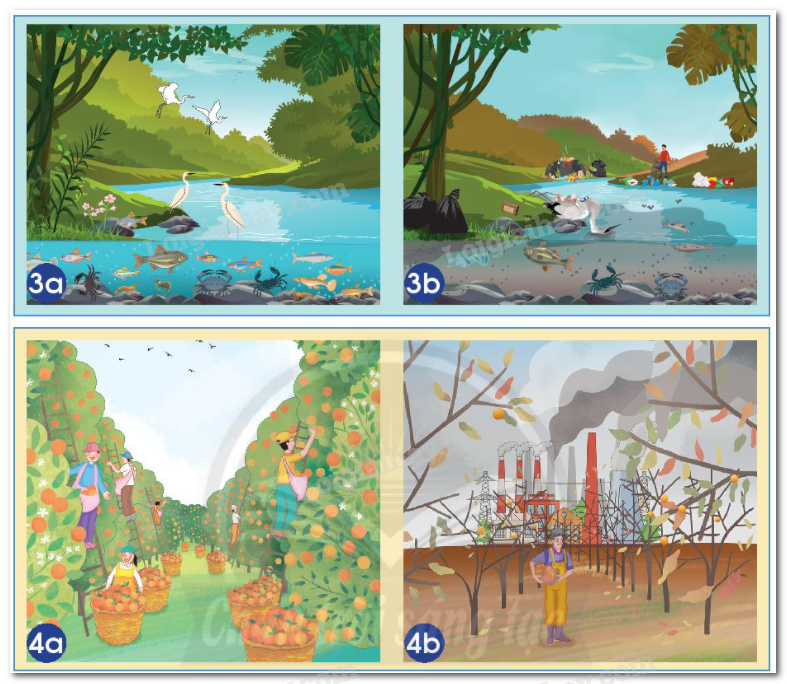 20240605090947hinh 3 4 bai 16 sgk tnxh ctst