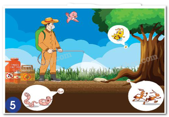 20240605090948hinh 5 bai 16 sgk tnxh ctst