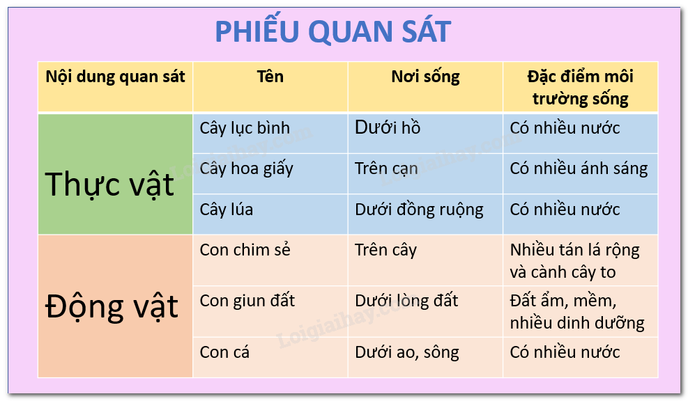 20240605090953giai-hinh-1-bai-17-sgk-tnxh-ctst 20240605090953giai hinh 1 bai 17 sgk tnxh ctst