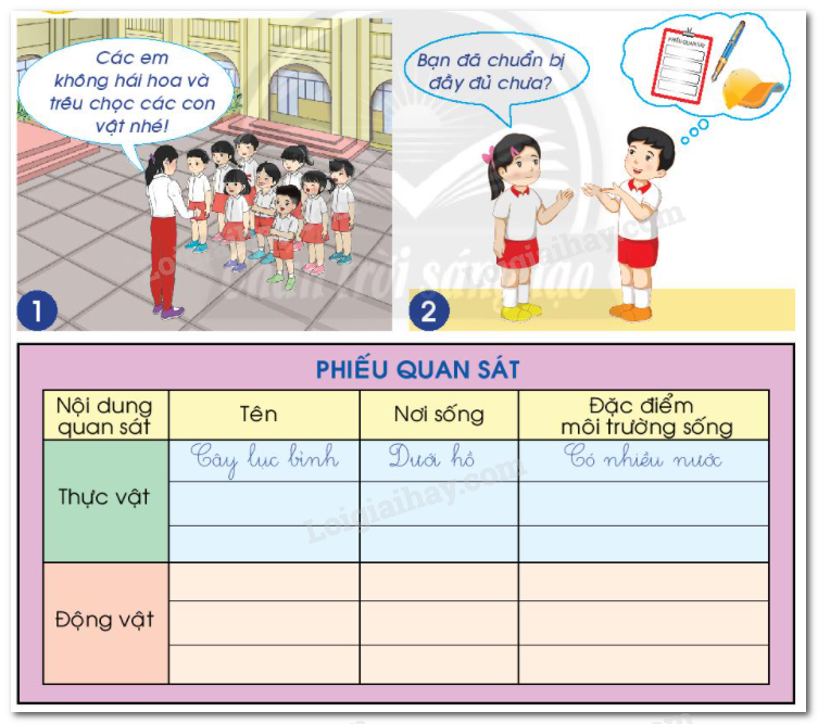 20240605090953hinh-1-bai-17-sgk-tnxh-ctst 20240605090953hinh 1 bai 17 sgk tnxh ctst