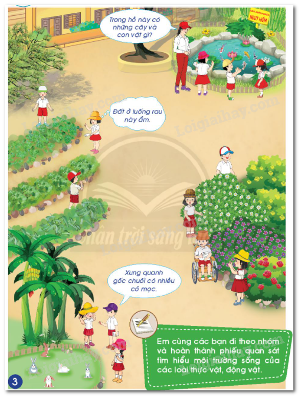 20240605090955hinh 3 bai 17 sgk tnxh ctst