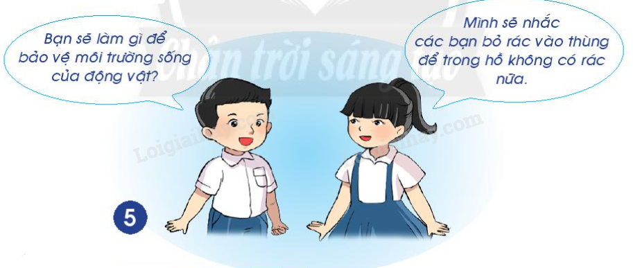 20240605090956hinh 5 bai 17 sgk tnxh ctst 1