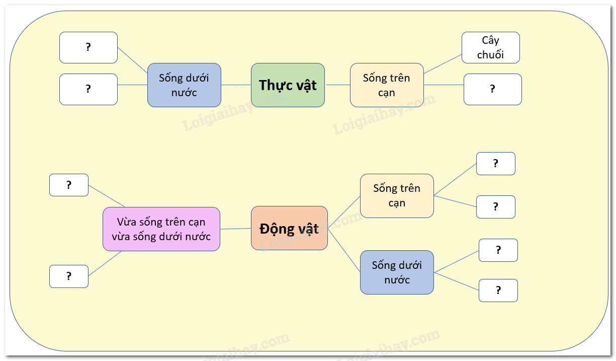 20240605090957hinh-1-bai-18-sgk-tnxh-ctst_1 20240605090957hinh 1 bai 18 sgk tnxh ctst 1