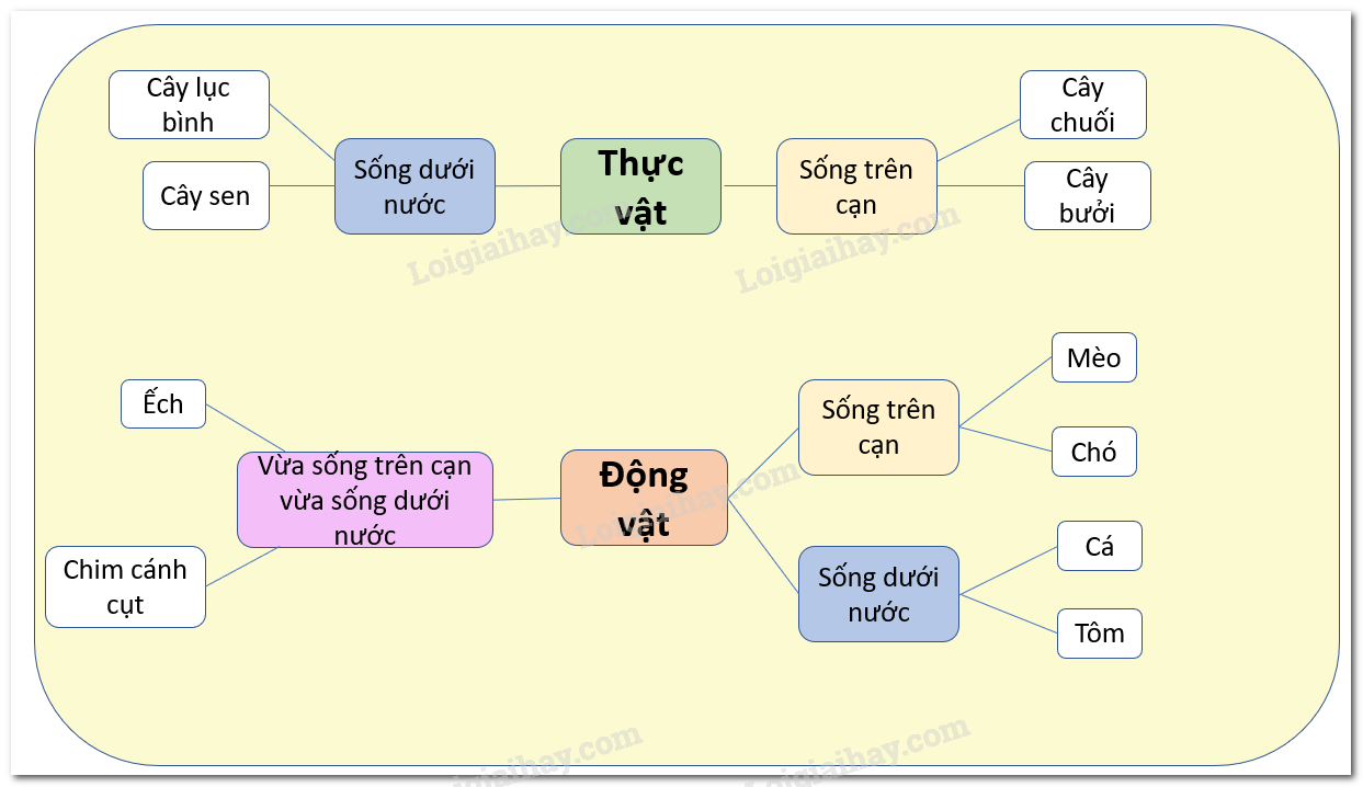 20240605090957iai-hinh-1-bai-18-sgk-tnxh-ctst_1 20240605090957iai hinh 1 bai 18 sgk tnxh ctst 1