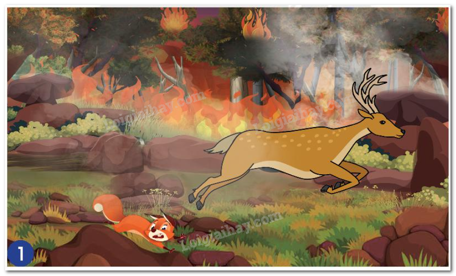 20240605090958hinh 2 bai 18 sgk tnxh ctst