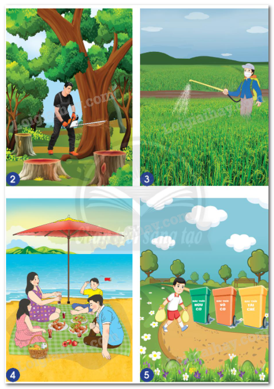 20240605090959hinh 3 bai 18 sgk tnxh ctst