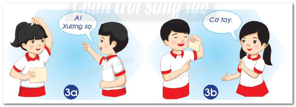 20240605091020hinh 3 bai 19 sgk tnxh ctst