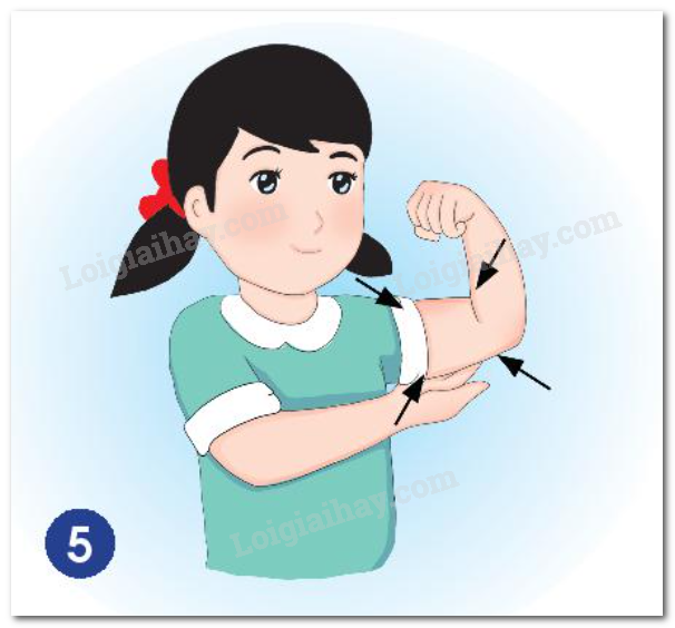 20240605091022hinh 5 bai 19 sgk tnxh ctst