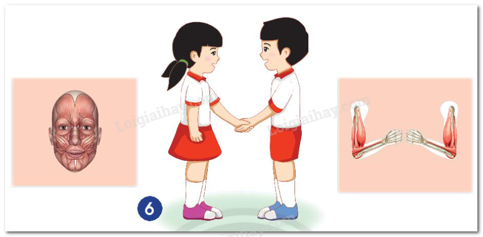 20240605091023hinh 6 bai 19 sgk tnxh ctst