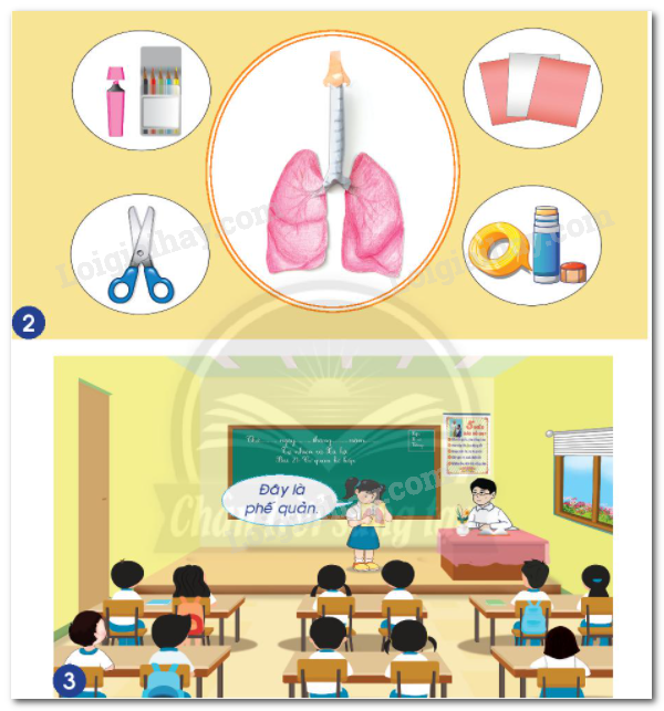 20240605091035hinh 2 bai 21 sgk tnxh ctst