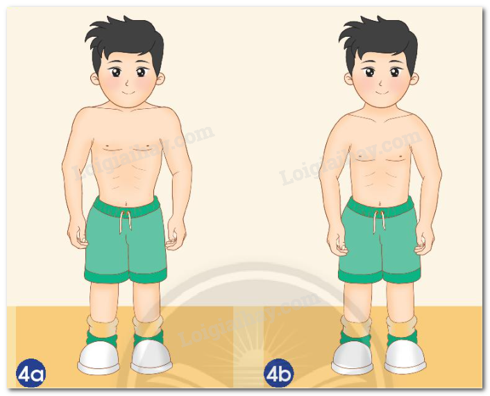 20240605091036hinh 4 bai 21 sgk tnxh ctst