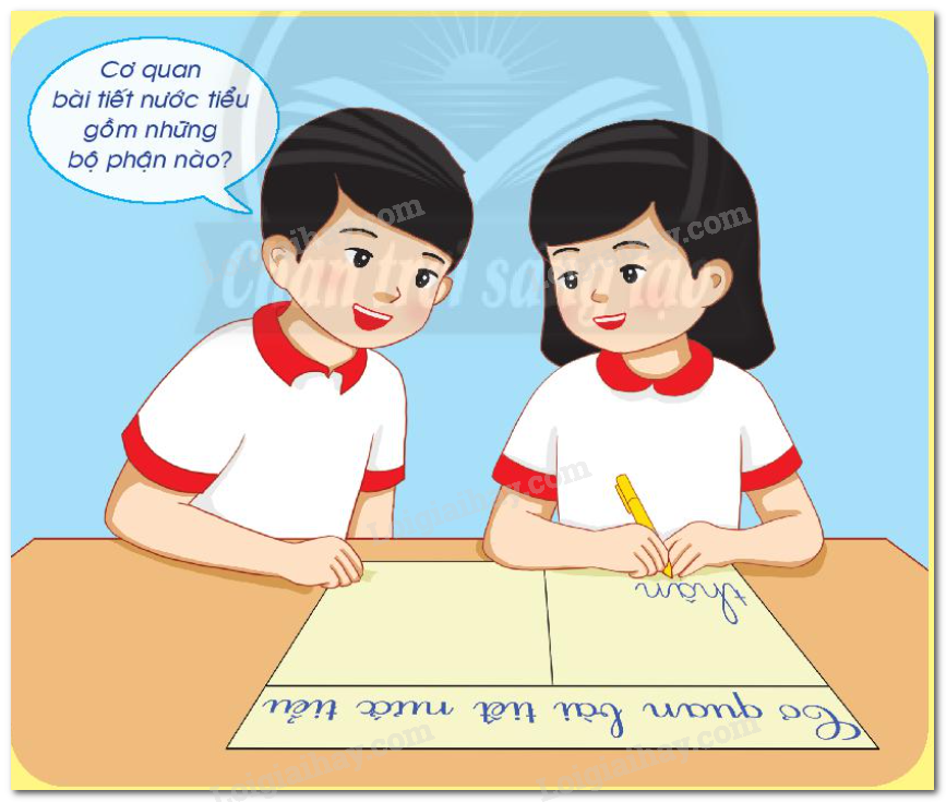 20240605091049hinh 0 bai 23 sgk tnxh ctst