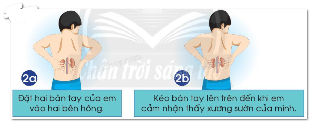 20240605091052hinh 2 bai 23 sgk tnxh ctst