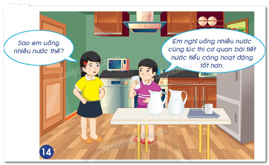 20240605091104hinh 14 bai 24 sgk tnxh ctst