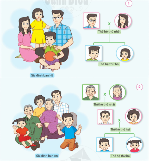 202406050911331-1_1 202406050911331 1 1