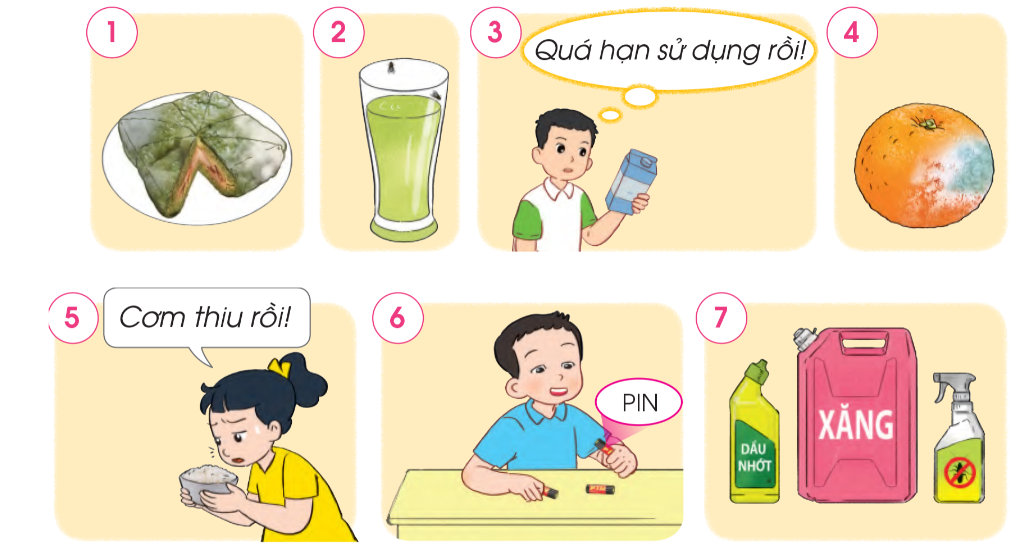 20240605091149hinh 2 bai 3 sgk tnxh cd