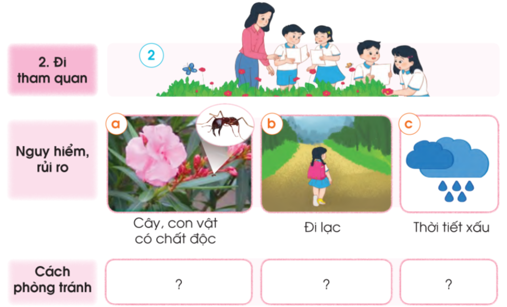 20240605091231hinh 3 bai 7 sgk tnxh cd