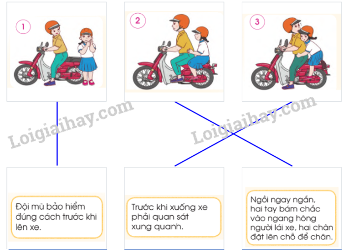 20240605091256giai quan sat muc 1 trang 48 bai 9 sgk tu nhien va xa hoi lop 2 canh dieu 1 1635565744