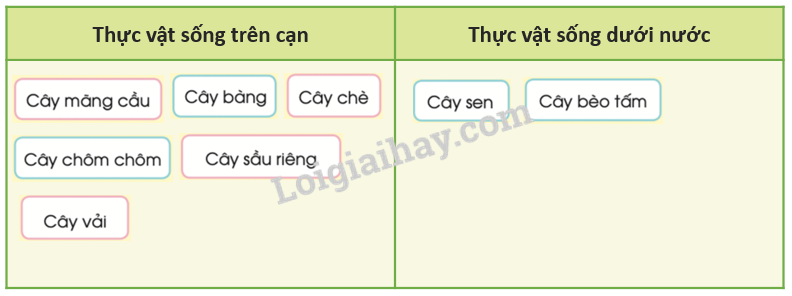 20240605091326giai tro choi muc 2 trang 65 sgk tu nhien va xa hoi lop 2 canh dieu 1 1634868992