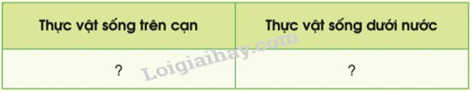 20240605091326giai tro choi muc 2 trang 65 sgk tu nhien va xa hoi lop 2 canh dieu 2 1634868992