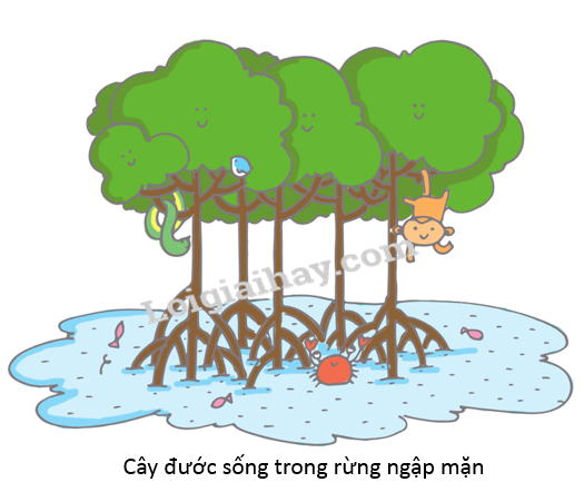 20240605091327giai thuc hanh muc 2 trang 65 sgk tu nhien va xa hoi lop 2 canh dieu 1 1634869198