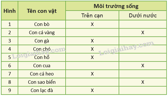 20240605091329giai-quan-sat-muc-2-trang-66-sgk-tu-nhien-va-xa-hoi-lop-2-canh-dieu_1_1634869457 20240605091329giai quan sat muc 2 trang 66 sgk tu nhien va xa hoi lop 2 canh dieu 1 1634869457