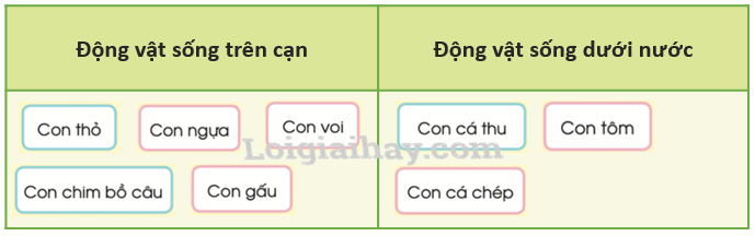 20240605091330giai tro choi muc 2 trang 67 sgk tu nhien va xa hoi lop 2 canh dieu 1 1634869641