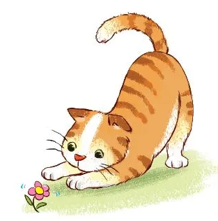 20240605091332giai thuc hanh muc 2 trang 67 sgk tu nhien va xa hoi lop 2 canh dieu 2 1634869900