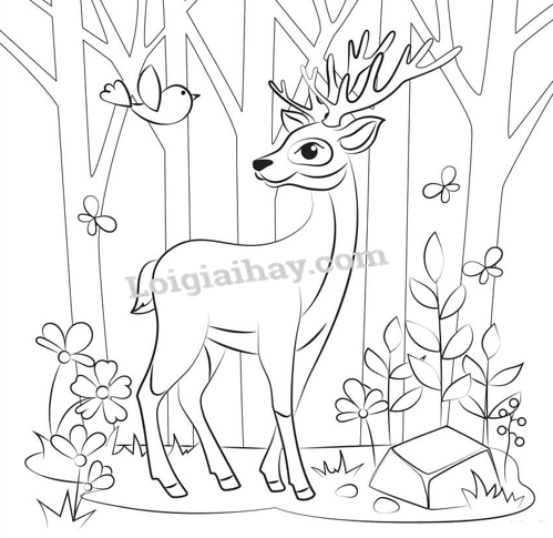 20240605091332giai thuc hanh muc 2 trang 67 sgk tu nhien va xa hoi lop 2 canh dieu 4 1634869900