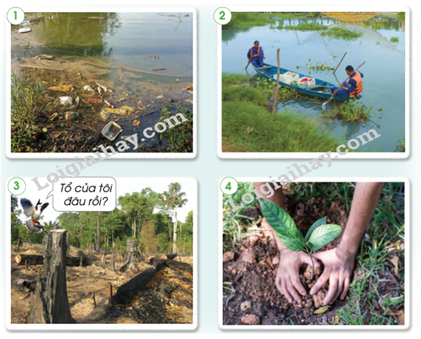 20240605091340giai-quan-sat-muc-1-trang-69-sgk-tu-nhien-va-xa-hoi-lop-2-canh-dieu_1_1634870447 20240605091340giai quan sat muc 1 trang 69 sgk tu nhien va xa hoi lop 2 canh dieu 1 1634870447