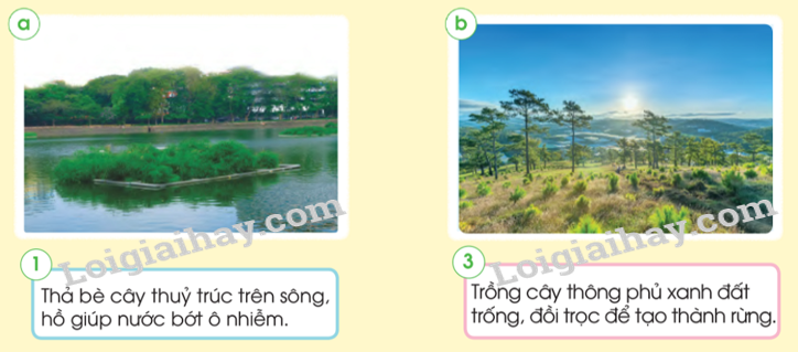 20240605091345giai tro choi muc 3 trang 72 sgk tu nhien va xa hoi lop 2 canh dieu 1 1634872532