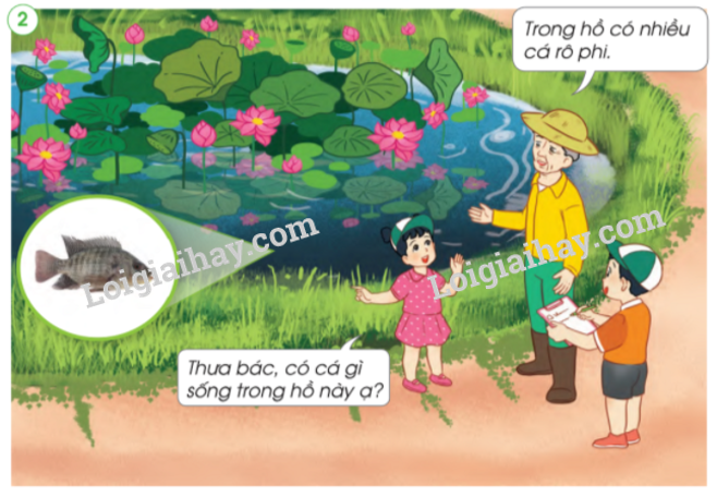 20240605091348giai-quan-sat-muc-1-trang-75-sgk-tu-nhien-va-xa-hoi-lop-2-canh-dieu_3_1634874509 20240605091348giai quan sat muc 1 trang 75 sgk tu nhien va xa hoi lop 2 canh dieu 3 1634874509