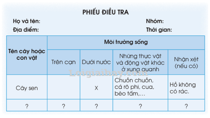 20240605091348giai-quan-sat-muc-1-trang-75-sgk-tu-nhien-va-xa-hoi-lop-2-canh-dieu_4_1634874509 20240605091348giai quan sat muc 1 trang 75 sgk tu nhien va xa hoi lop 2 canh dieu 4 1634874509
