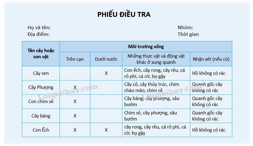 20240605091351giai thuc hanh muc 2 trang 76 77 sgk tu nhien va xa hoi lop 2 canh dieu 1 1634875810