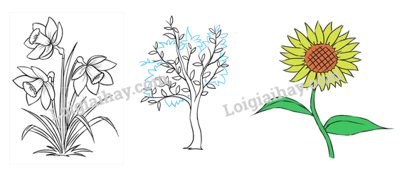 20240605091351giai thuc hanh muc 2 trang 76 77 sgk tu nhien va xa hoi lop 2 canh dieu 2 1634875810