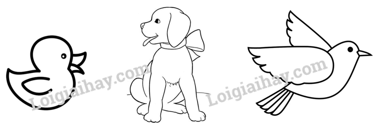 20240605091351giai thuc hanh muc 2 trang 76 77 sgk tu nhien va xa hoi lop 2 canh dieu 3 1634875810