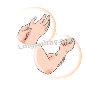 20240605091355giai thuc hanh muc 1 trang 82 bai 14 sgk tu nhien va xa hoi lop 2 canh dieu 1 1634878234