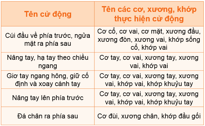 20240605091401giai thuc hanh muc 2 trang 85 bai 14 sgk tu nhien va xa hoi lop 2 canh dieu 1 1634885572