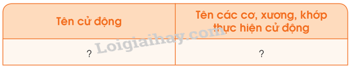 20240605091401giai thuc hanh muc 2 trang 85 bai 14 sgk tu nhien va xa hoi lop 2 canh dieu 2 1634885572