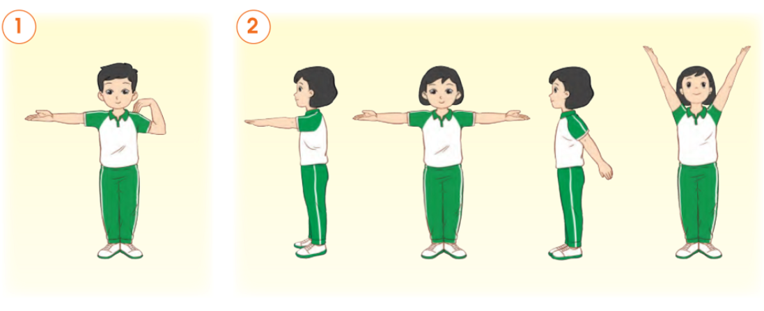 20240605091403giai thuc hanh muc 2 trang 86 bai 14 sgk tu nhien va xa hoi lop 2 canh dieu 1 1634885616