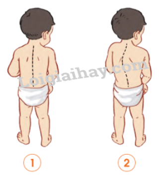 20240605091409giai quan sat muc 1 trang 89 bai 15 sgk tu nhien va xa hoi lop 2 canh dieu 1 1634886521