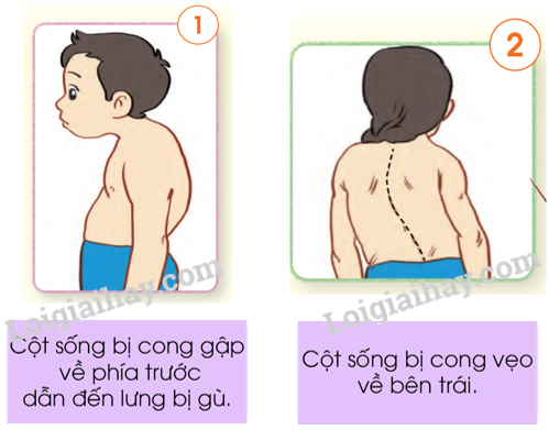 20240605091410giai tro choi muc 1 trang 89 bai 15 sgk tu nhien va xa hoi lop 2 canh dieu 1 1634886550