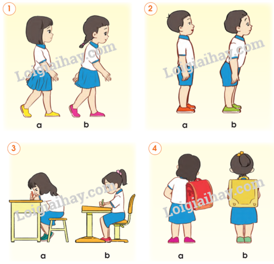 20240605091411giai-quan-sat-muc-2-trang-90-bai-15-sgk-tu-nhien-va-xa-hoi-lop-2-canh-dieu_1_1634890723 20240605091411giai quan sat muc 2 trang 90 bai 15 sgk tu nhien va xa hoi lop 2 canh dieu 1 1634890723