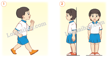 20240605091414giai-thuc-hanh-muc-3-trang-91-bai-15-sgk-tu-nhien-va-xa-hoi-lop-2-canh-dieu_1_1634886608 20240605091414giai thuc hanh muc 3 trang 91 bai 15 sgk tu nhien va xa hoi lop 2 canh dieu 1 1634886608