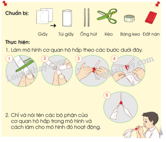 20240605091420giai-thuc-hanh-muc-2-trang-95-bai-16-sgk-tu-nhien-va-xa-hoi-lop-2-canh-dieu_1_1634890456 20240605091420giai thuc hanh muc 2 trang 95 bai 16 sgk tu nhien va xa hoi lop 2 canh dieu 1 1634890456